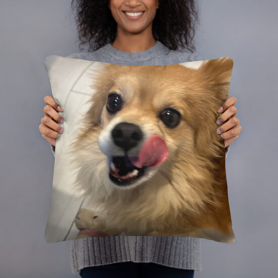 Spilvens ar Jūsu dizainu, dažādi izmēri